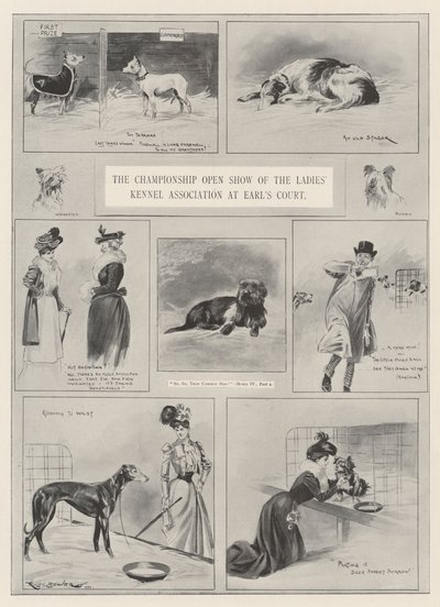 The Championship Open Show of the Ladies